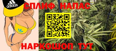 герыч Моздок