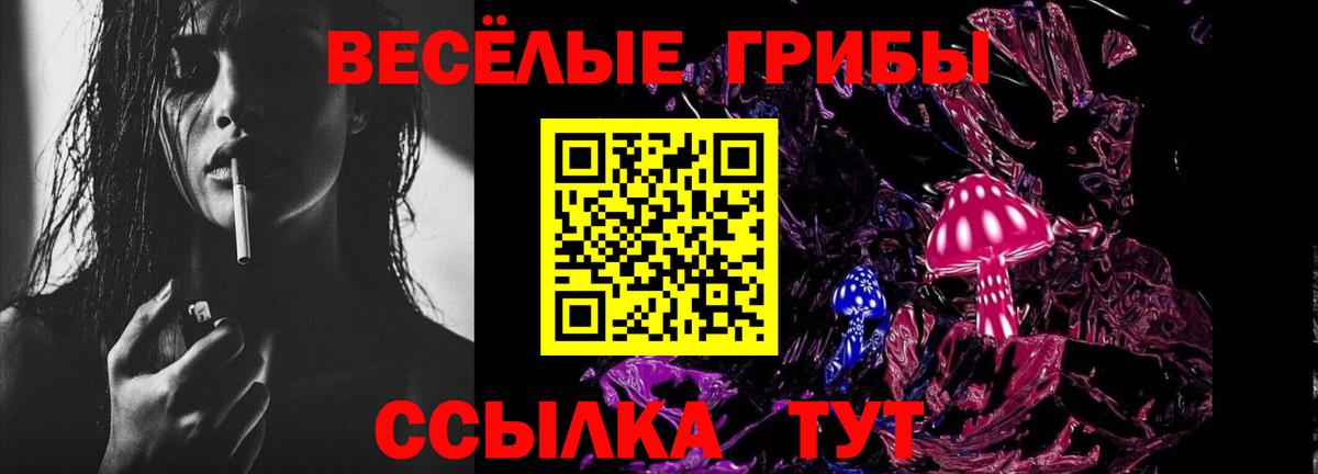 Галлюциногенные грибы Psilocybine cubensis  Вход с VPN  Сургут 